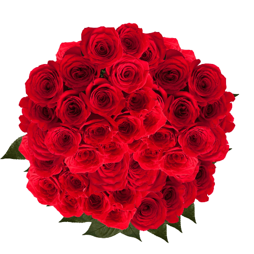 100 red roses bouquet