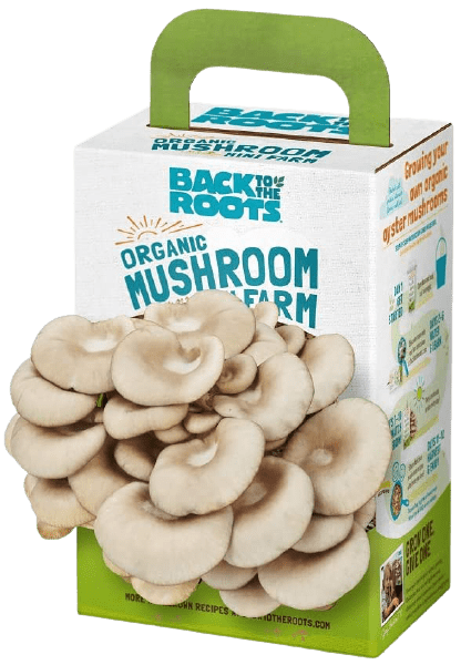 Back to the Roots Organic Mini Mushroom Grow Kit