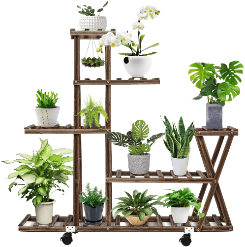 Wood Plant Display with 3 Free Gardening Tools