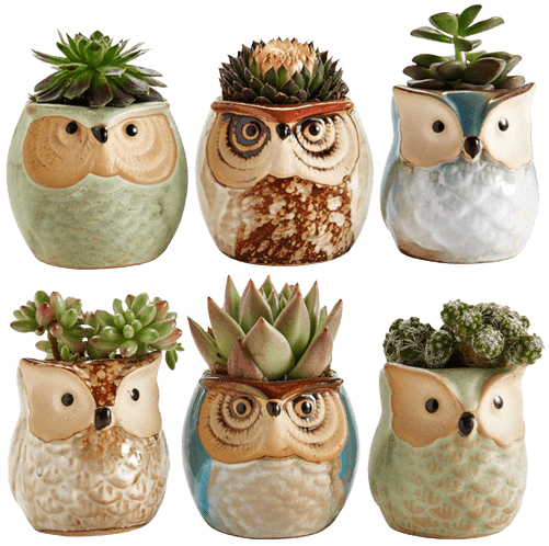 Owl Succulent Plant Pot Ceramic Flowing Glaze Base Set