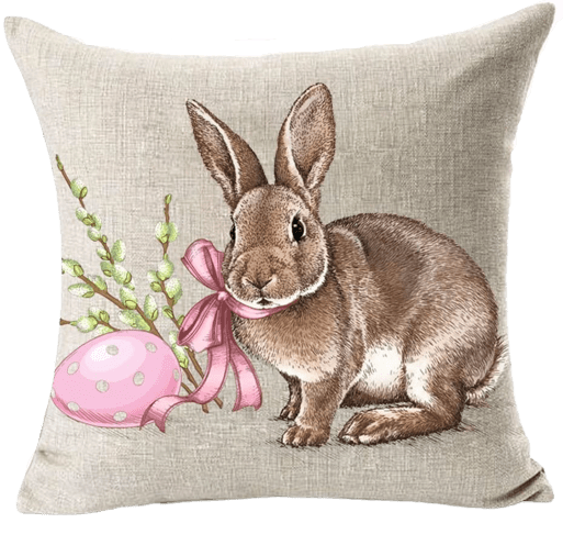 Easter Rabbit Decor Pillow Cover 18x18