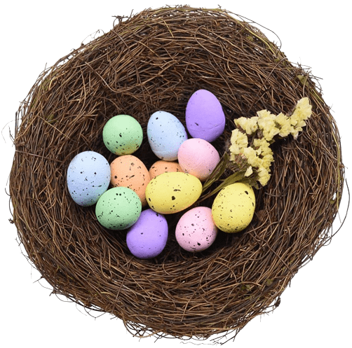 Easter Birds Nest