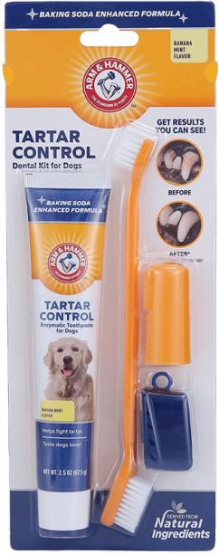 Dog Dental Care Kit with Toothpaste & Brushes