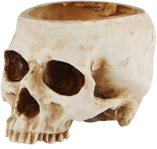 Human Skull Planter for Home and Garden