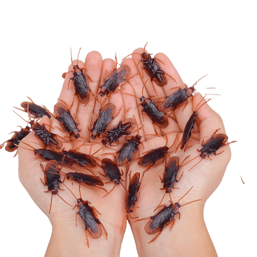 Realistic 50PCS Fake Roaches for Prank
