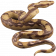 Big Realistic Creepy Snake for Pranks